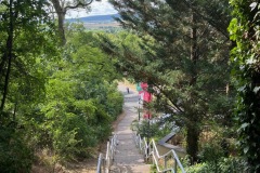 BadFrankenhausen-25June2025-2
